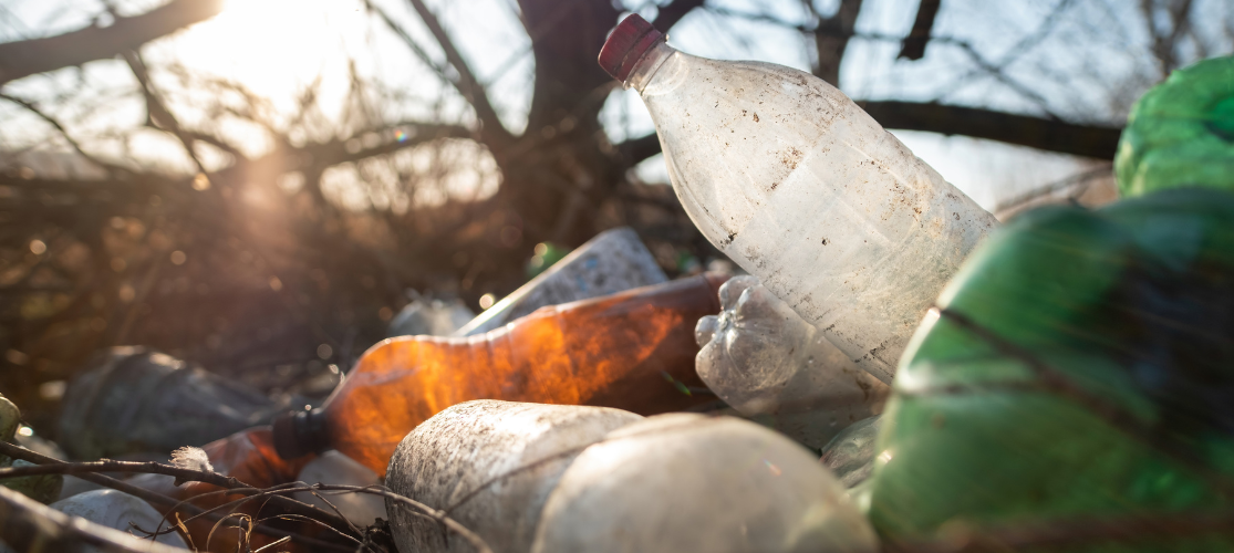 Photo of plastic bottles littering the ground